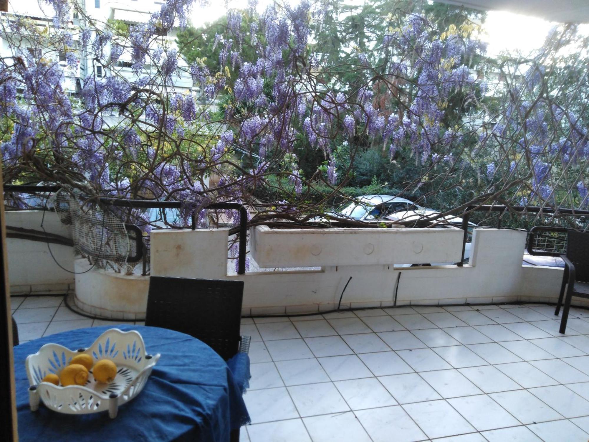 Filyra Homestay Athens Room photo